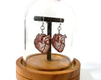Anatomical Heart Earrings