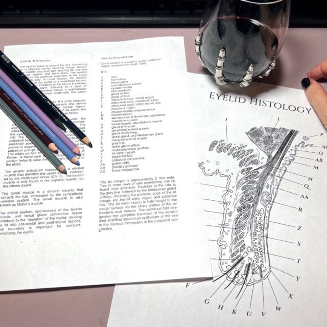 Ocular Anatomy Coloring Pages
