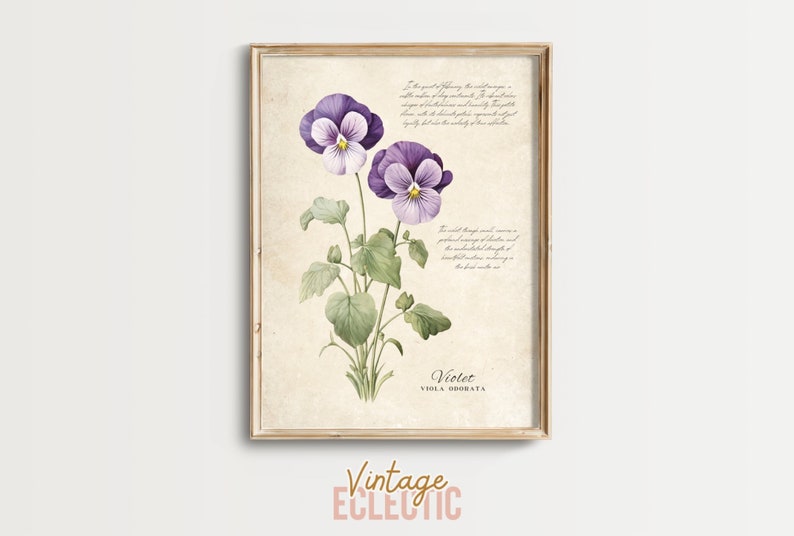 Birth Flower Wall Art, Violet February Birth Month Flower, Botanical