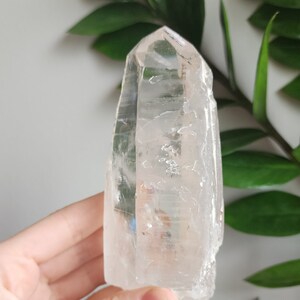 Lemurian Quartz