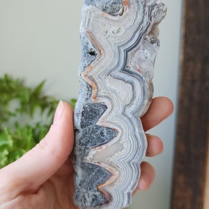 Crazy Lace Agate Slab