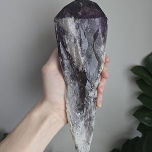 Amethyst Root