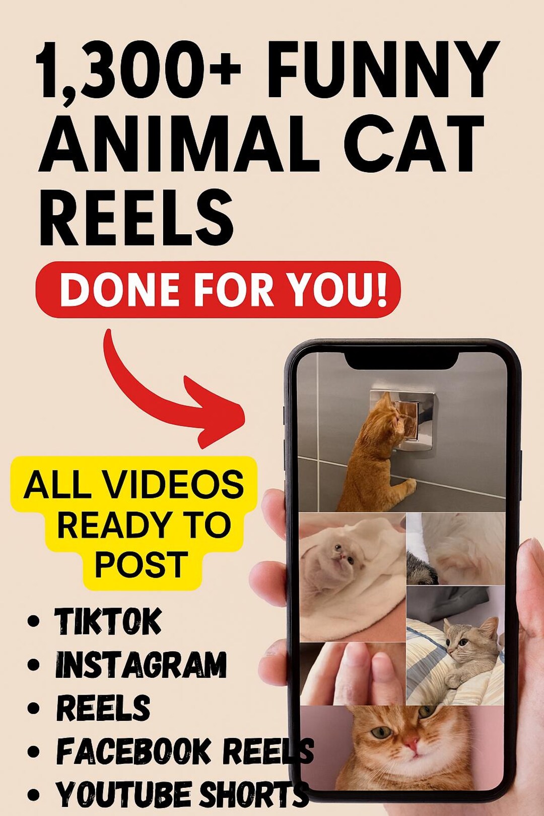 1300+ Funny Cat Reels Bundle | Viral Cat Video Clips for Tiktok ...