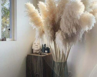 Faux pampas grass - Etsy France