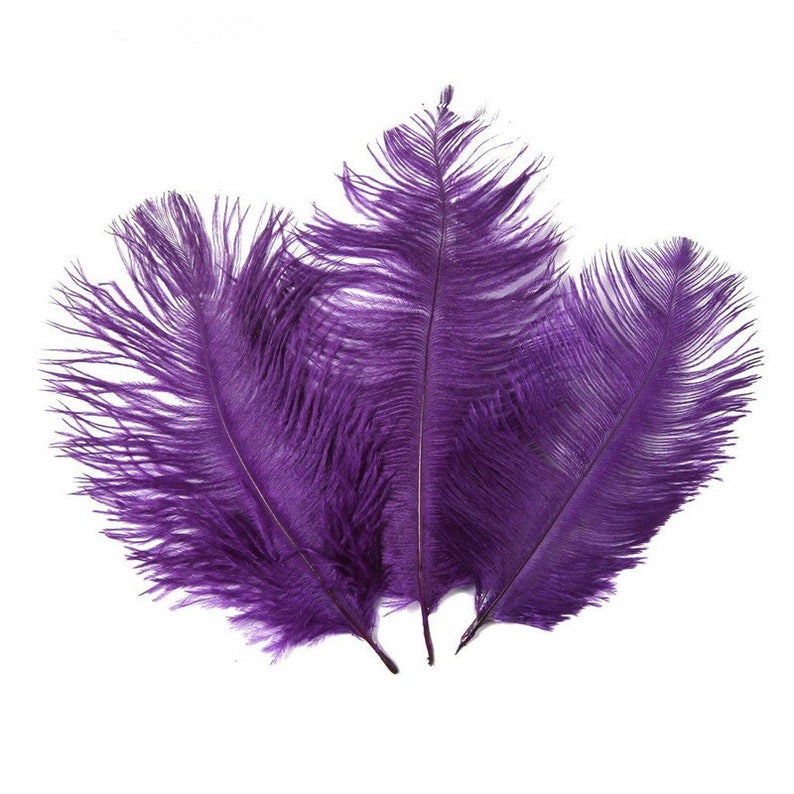 Ostrich Feathers for millinery hat handmade art,Wedding centerpieces decorations,home decorations