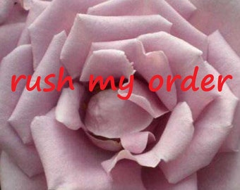 rush my order ,USD20