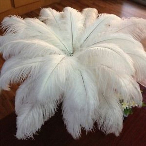 Ostrich Feathers for millinery hat handmade art,Wedding centerpieces decorations,home decorations
