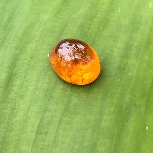 Cabochon de spessartite naturelle (grenat orange) Pierre semi-précieuse du nigeria afrique de forme ovale 7,15 cts