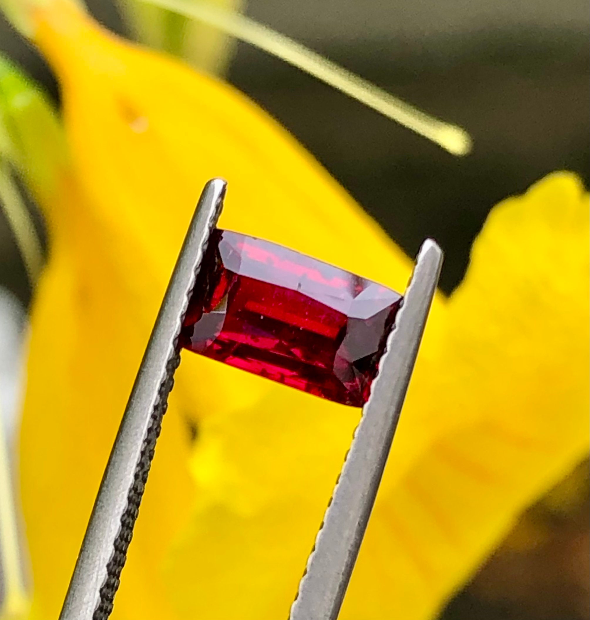 Blood Ruby Natural No Heat Pigeon Blood Ruby From Mozambique in Octagon Shape ...