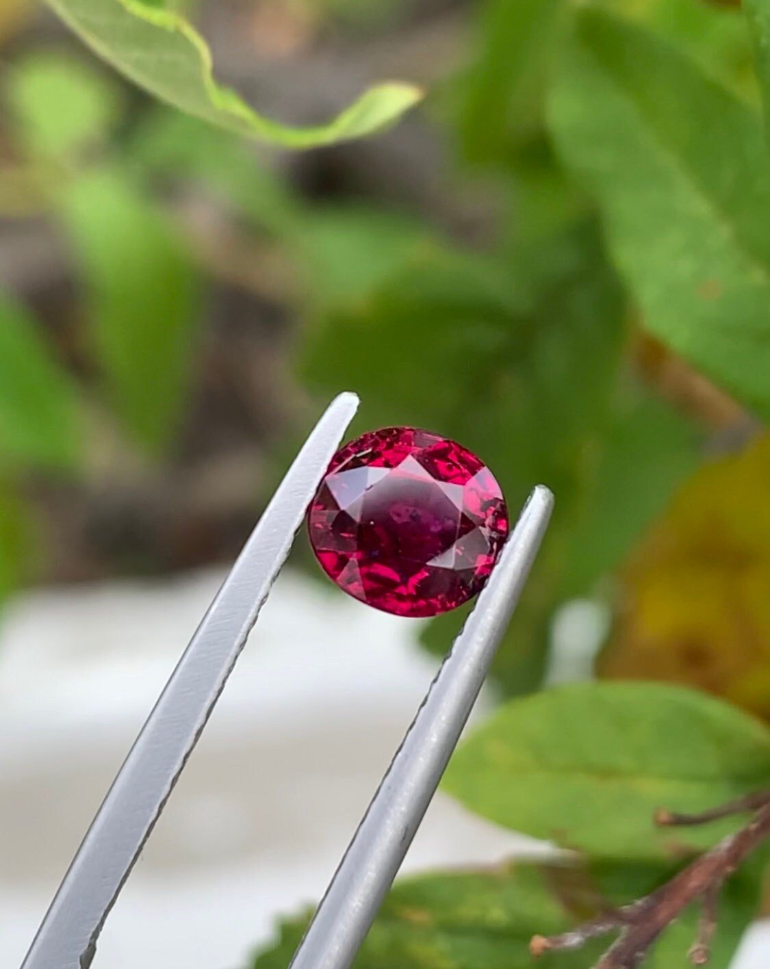 Blood Ruby Natural NO HEAT Pigeon Blood Ruby Certified Precious Gemstones in Oval ...
