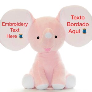 Custom Embroidery plush, gift for any occasion
