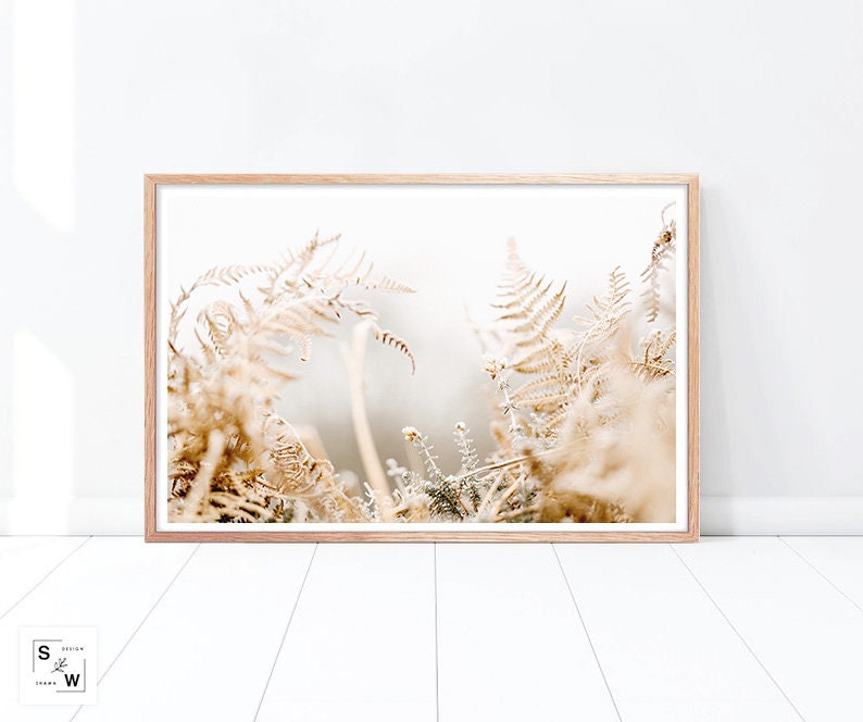 Dried Flowers Art Art Prints Minimalist Wall Art Farmhouse Print Wild Flower Print Minimalist Print Minimalist Art Flowers Prints