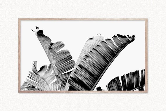Samsung Frame TV Art Banana Leaf Print Frame TV Art Black | Etsy