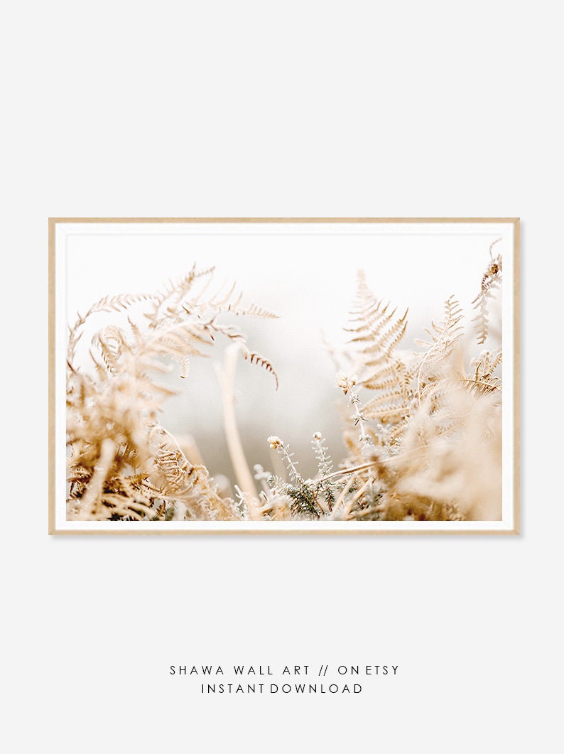 Dried Flowers Art Art Prints Minimalist Wall Art Farmhouse Print Wild Flower Print Minimalist Print Minimalist Art Flowers Prints