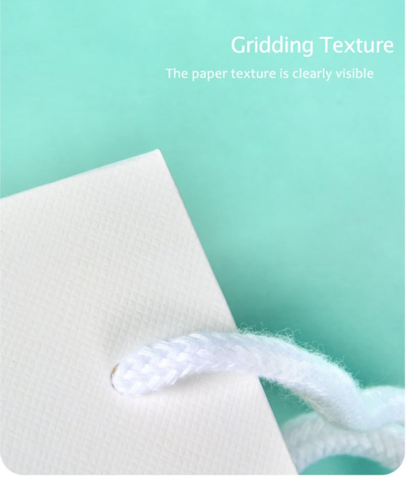 May include: Close-up of a white paper bag corner with a textured grid pattern and a white rope handle. The text "Gridding Texture" and "The paper texture is clearly visible" are displayed on a teal background.