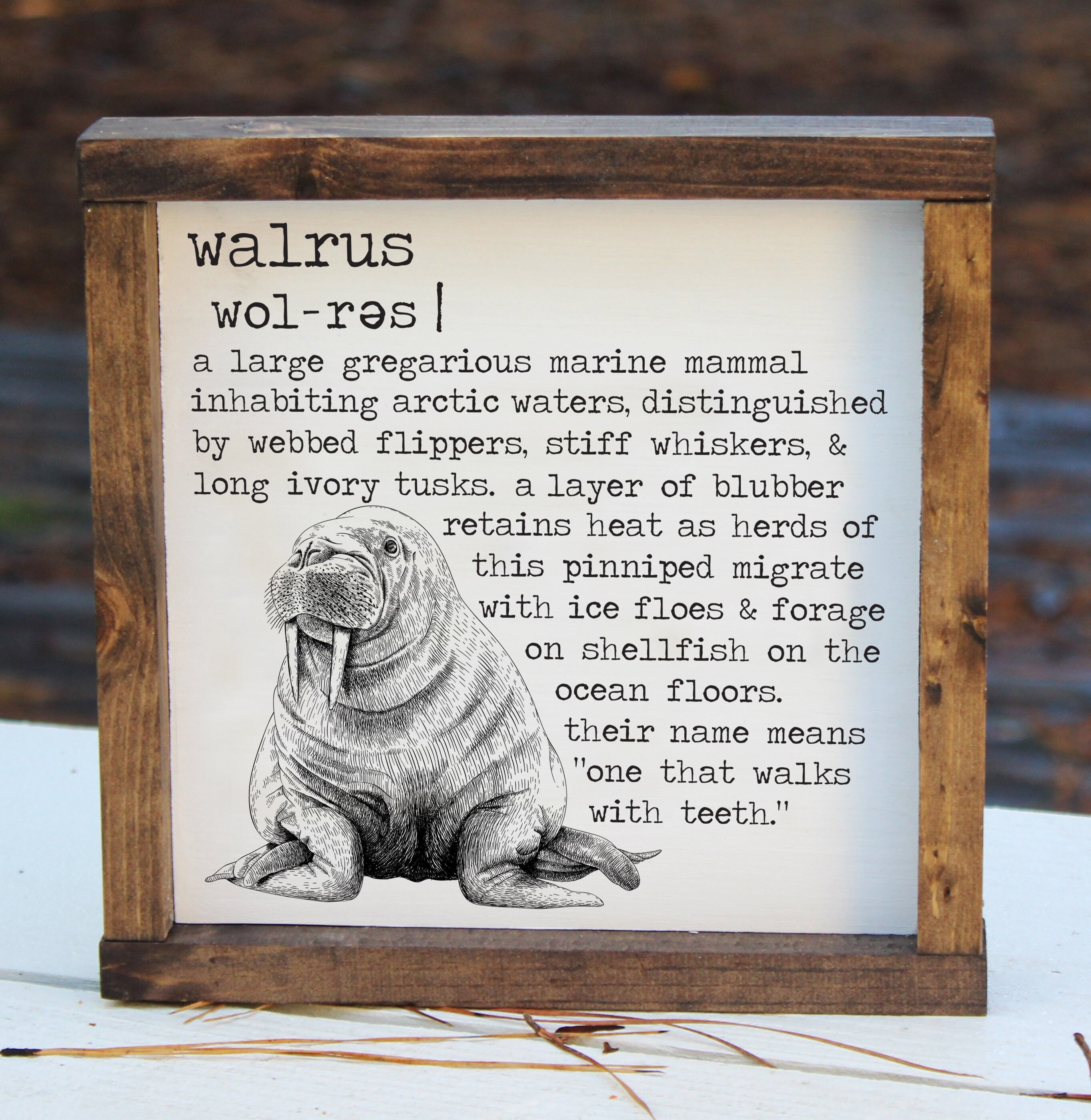 Walrus Definition Wooden Sign Farmhouse Sign / Walrus Animal | Etsy