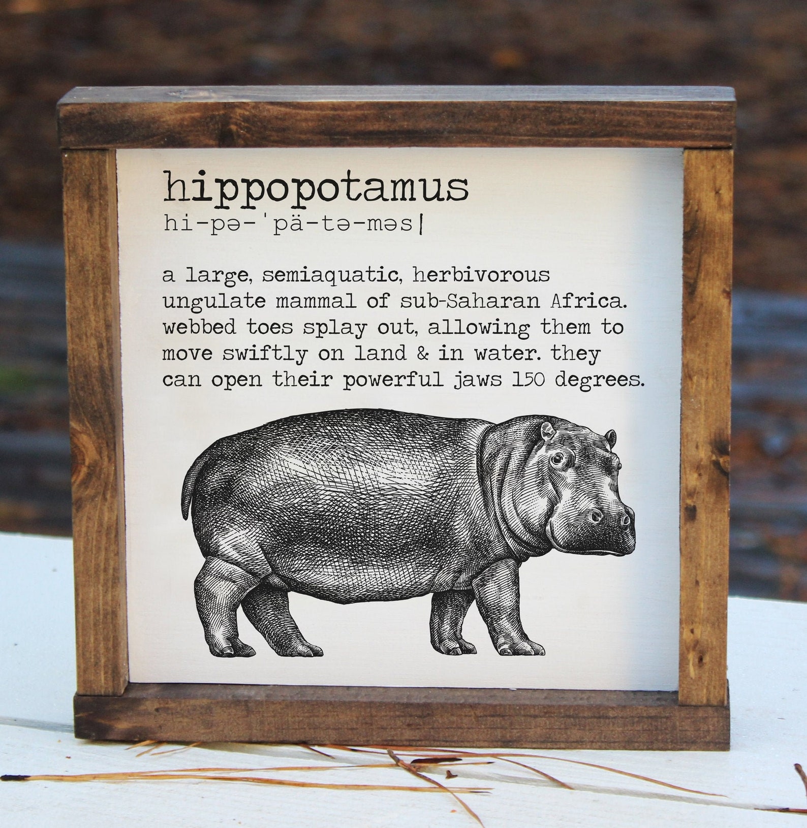 Hippopotamus Definition Wooden Sign Screen Printed / Hippo  Etsy