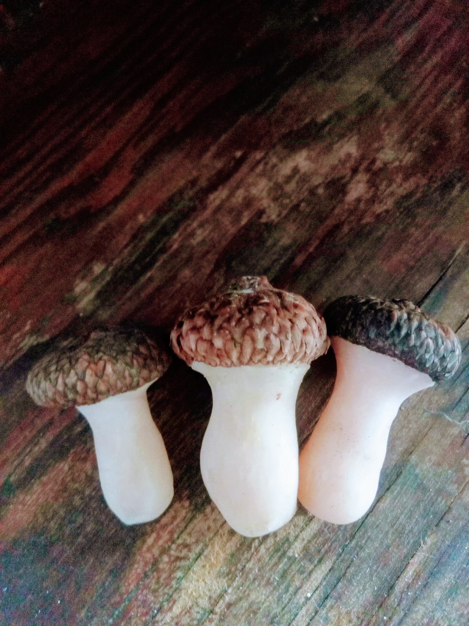 Large Acorn mushroom nude color Montessori craft natural Etsy