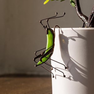 May include: A green and brown metal sculpture of a praying mantis clinging to the side of a white ceramic pot.