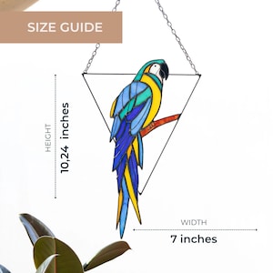 Real Glass Parrot Suncatcher - Tropical Home Window Wall Hanging Decor - Gift for Boyfriend Dad image 3
