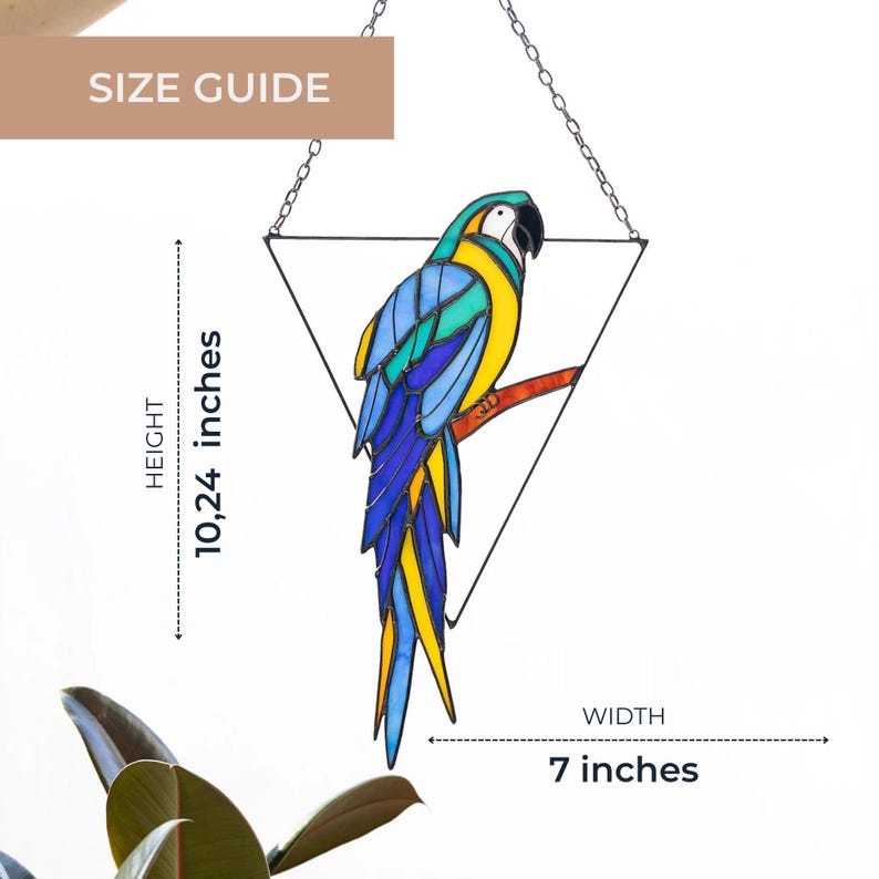 Real Glass Parrot Suncatcher - Tropical Home Window Wall Hanging Decor - Gift for Boyfriend Dad image 3