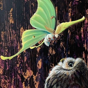 Woodland Owl & Luna moth Giclee Gallery Quality Print