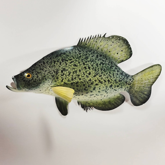Crappie Fish Wall Decor, Fishing Gifts for Dad From Daughter, Fisherman  Gift, Lake House Gift for Men, Fishing Lodhe Decor 