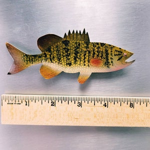 small mouth bass, fish wall decor, fishing gifts for men, rustic cabin decor, fisherman gift, lake house decor for wall, step dad gift,lodge