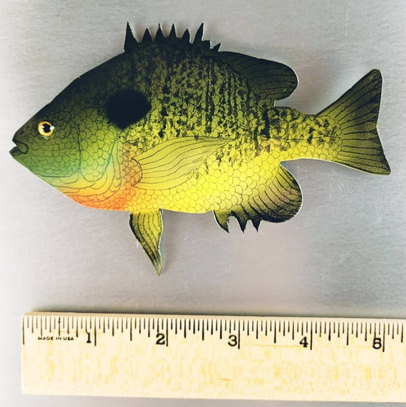 Bluegill Fish Wall Decor,fishing Gifts for Dad From Daughter