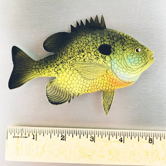 Buy Bluegill Fish Wall Decor,fishing Gifts for Dad From Daughter