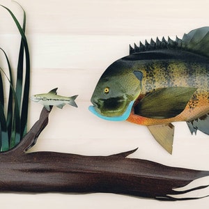 Bluegill Fish Wall Decor,fishing Gifts for Dad From Daughter