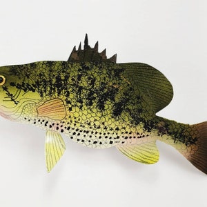 large mouth bass fish wall decor, fishing gifts for men, rustic cabin decor, fishermen gift, lake house decor for wall, step dad gift, lodge