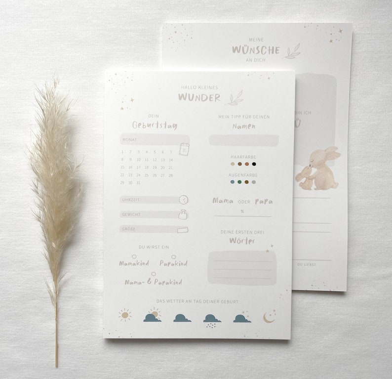 May include: A printable baby memory tracker with a calendar, space to record the baby's birth time, weight, length, first words, and hair and eye color. The tracker also includes a section for the weather on the day of the baby's birth and a cute illustration of two bunnies.