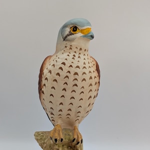 Vintage Collectable Beswick Pottery Bird Of Prey, Kestrel - Matt Finish - Signed