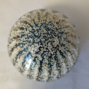 Strathearn Glass Sammlerstück &quot;Sea Urchin&quot; Briefbeschwerer