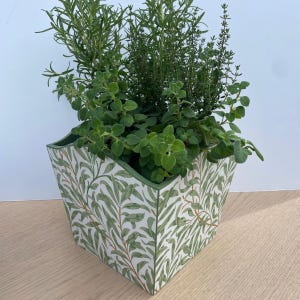 May include: A square planter with a white background and a green willow leaf pattern containing a variety of green herbs. The planter features a scalloped top edge and a solid green interior, holding several types of leafy green plants.