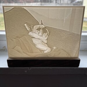 May include: A rectangular, illuminated night light featuring a detailed relief of a French Bulldog resting on a pillow. The light has a warm, soft glow and sits on a dark wooden base. The dog's features are clearly defined.