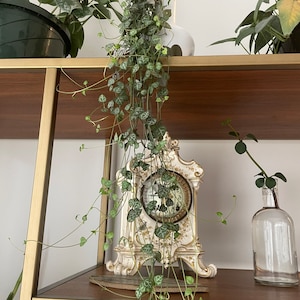 May include: A vintage porcelain clock with ornate details sits on a wooden shelf with a trailing string of heartleaf philodendron plants. The clock has a white face with black Roman numerals and a gold trim.