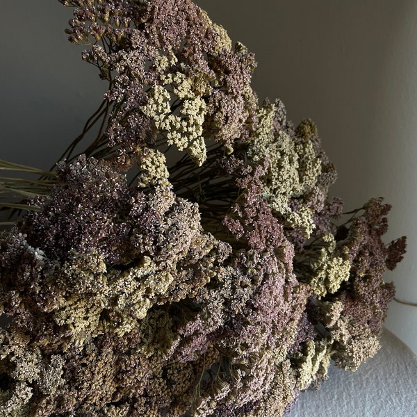 Dried Yarrow Flowers