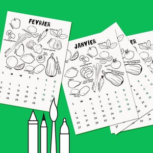 Malkalender – Schätze der Jahreszeiten | Saisonales Obst und Gemüse | 12-Monatskalender | Aquarellpapier | Formate A4 und A5 |