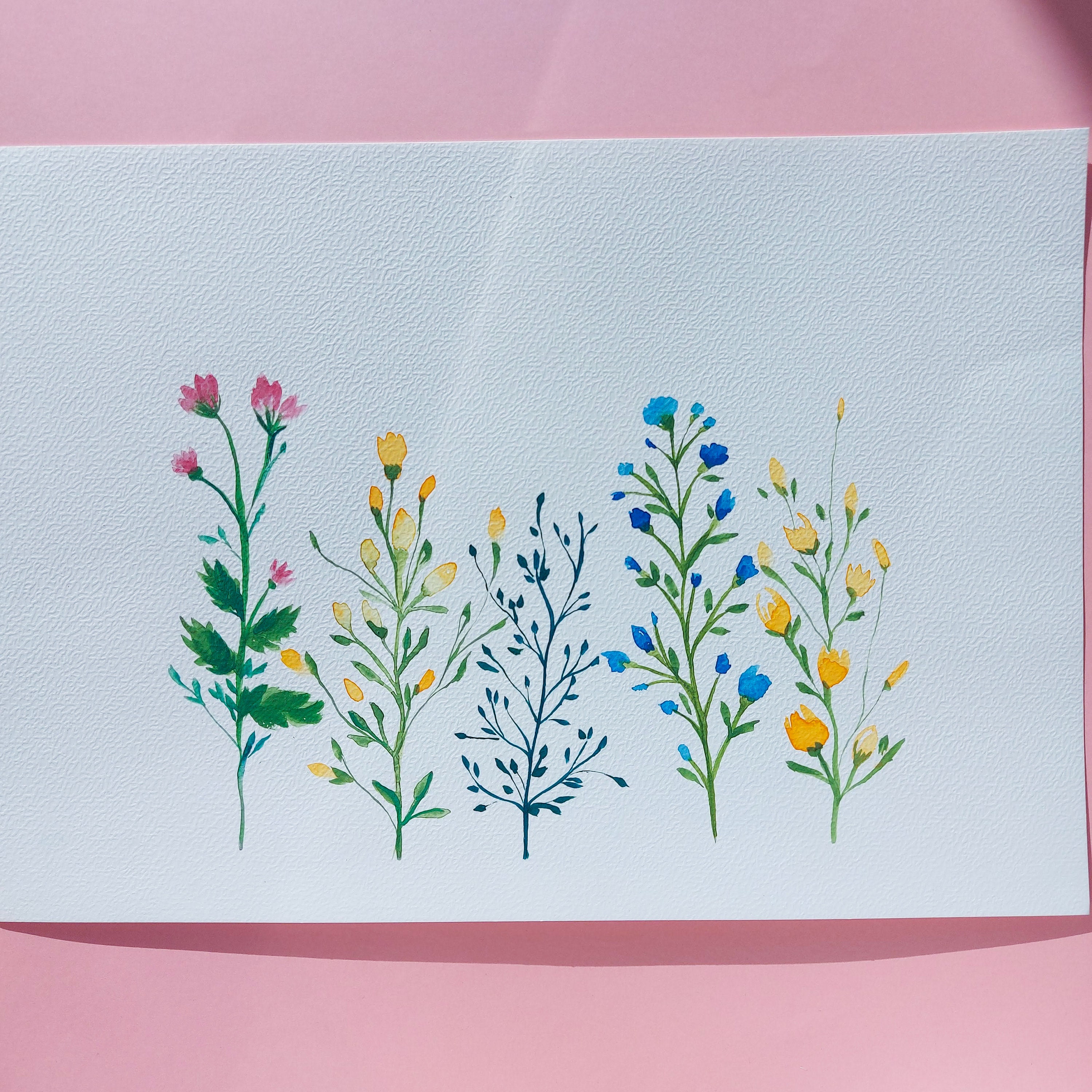 Watercolor Botanical Drawing/Dessin Floral Aquarelle
