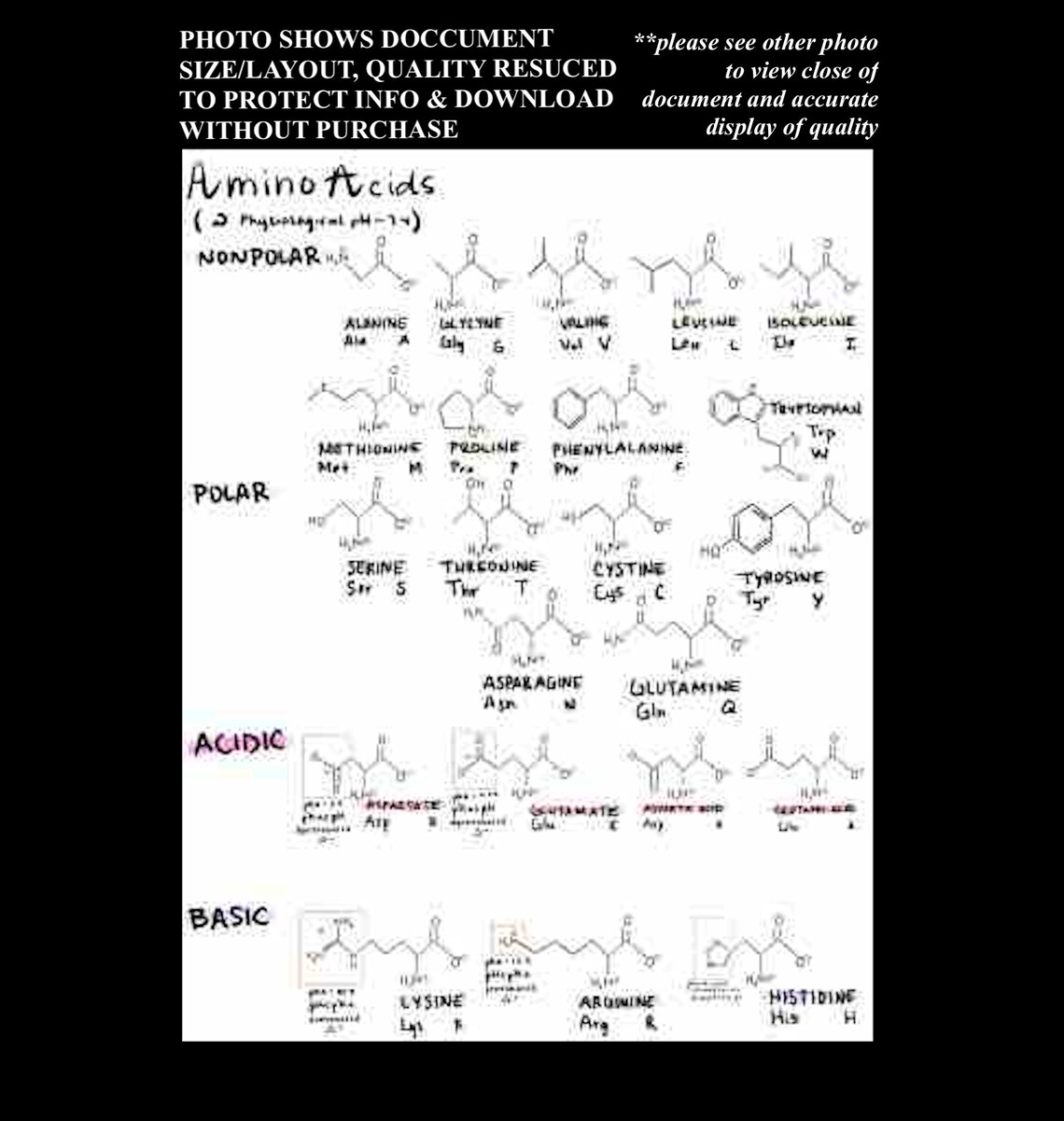 Mcat Amino Acids Diagram Quizlet vrogue.co