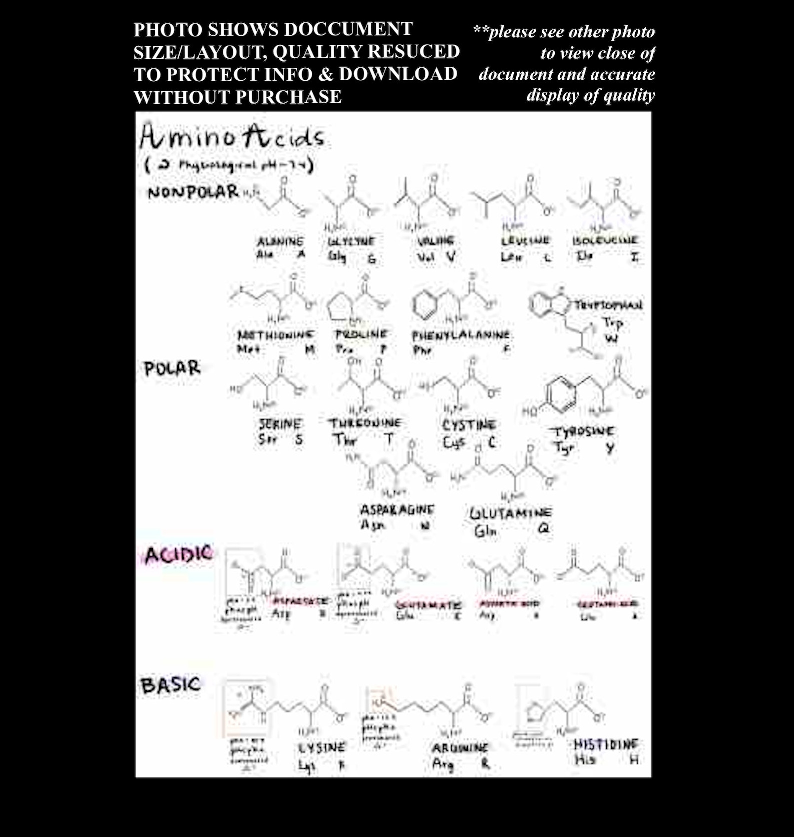 MCAT Amino Acid Study Guide Structure Abbreviations 1 and 3 Etsy
