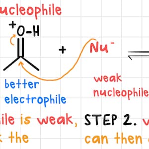 MCAT Organic Chemistry Study Guide: Reaction Mechanisms (Digital Download)