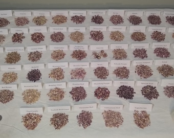 Hardneck Garlic Bulbils ~ 1/4oz ~ Many Varieties to Choose From