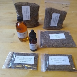 May include: Five clear plastic bags filled with Queen Anne's Lace (Daucus carota) seeds in various sizes: 1/2 ounce, 1 ounce, 2 ounces, 4 ounces, and 8 ounces. Two amber glass bottles labeled "Wild Carrot Seed".