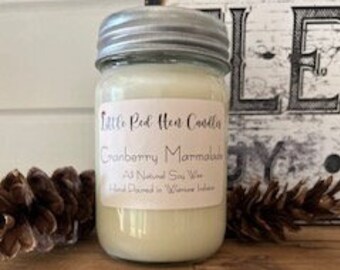 Holiday Candle/Cranberry Soy Candle/ Jar Candle/Gift Candle/Fall Candle/Cozy Candle/Non-Toxic/100% Soy Candle/ Gift for her / Christmas gift