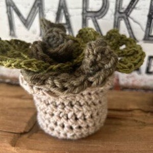 May include: A small crocheted succulent plant in a beige pot. The plant is made with green and brown yarn.