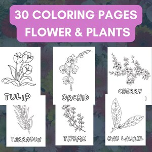 30 Printable Flower & Plants Coloring Pages, Digital Coloring Book, Botanical Themed Coloring Sheet for Kids DIGITAL DOWNLOAD 8.5x11