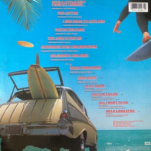 The Beach Boys Rarities LP - Etsy